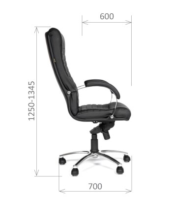 Кресло компьютерное CHAIRMAN 480 Экокожа премиум черная в Радужном - изображение 2
